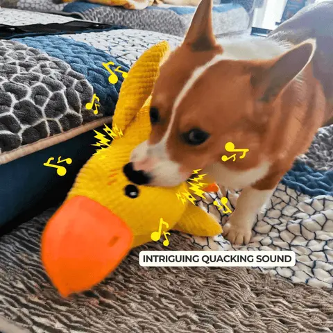 Calming Duck Toy by Wowpetsmart®-🔥 Halloween Special Buy one get one free