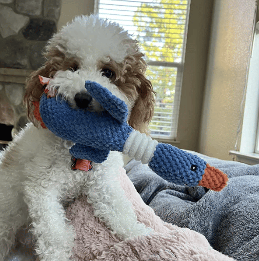 🔥ROBUSTDUCK-DESIGNED FOR HEAVY CHEWERS - 🚨 Limited-Time Offer: Today only. buy one ROBUSTDUCK and get one FREE!